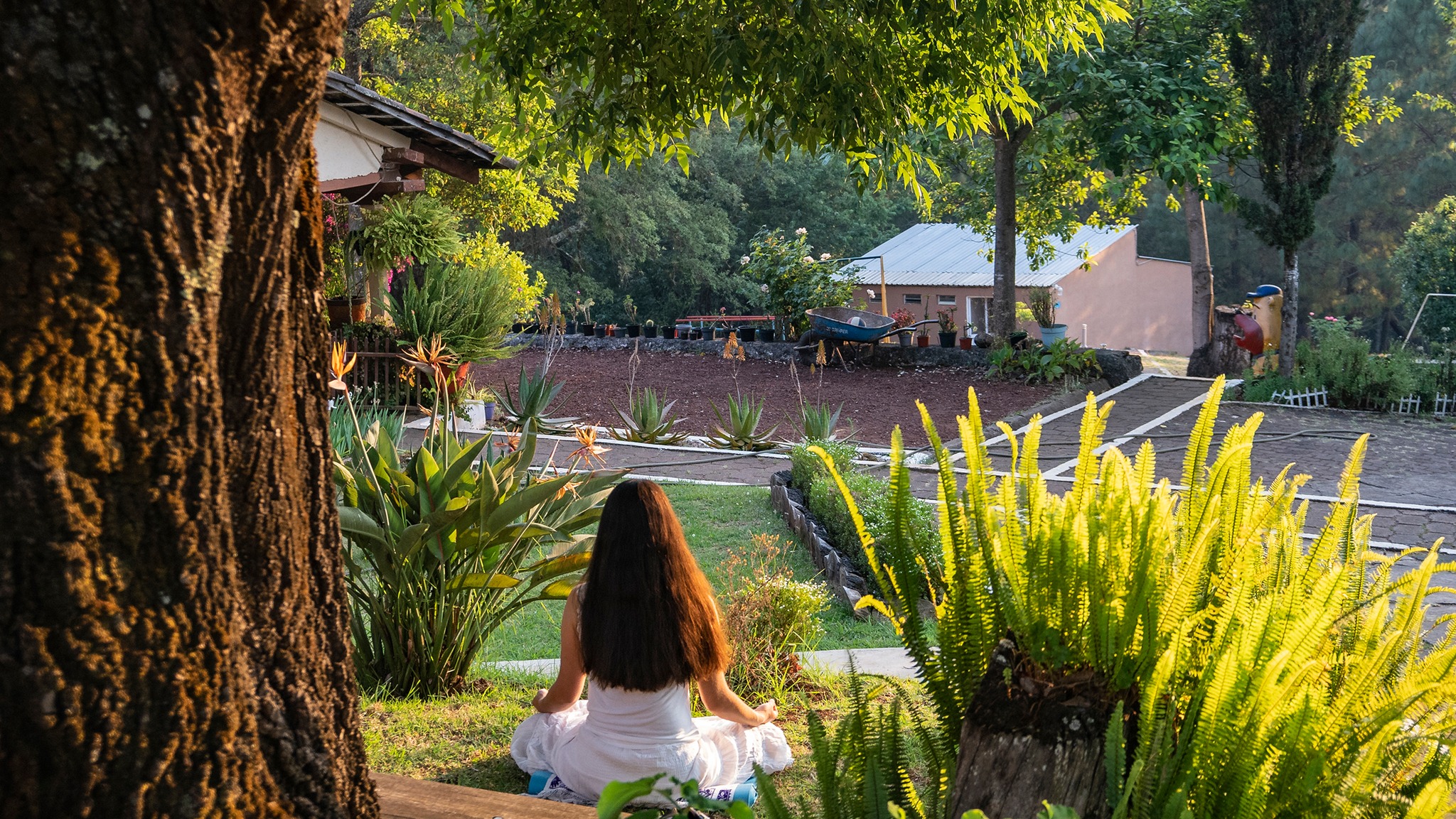 344866995_263396536105276_7407840789638777954_n